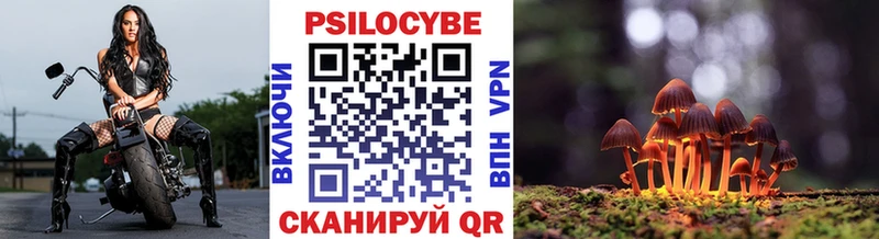 цена   Кочубеевское  Псилоцибиновые грибы ЛСД 