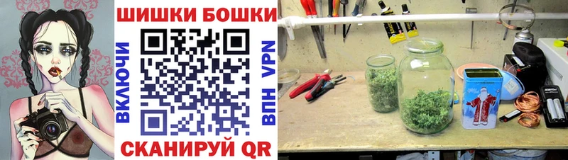 Конопля семена  продажа наркотиков  ссылка на мегу маркетплейс  Кочубеевское 